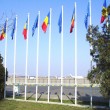 drapele pt catarg ro ue